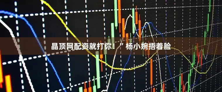 晶顶网配资就打你！”杨小婉捂着脸