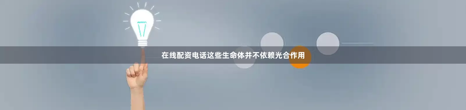 在线配资电话这些生命体并不依赖光合作用