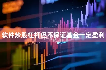 软件炒股杠杆但不保证基金一定盈利