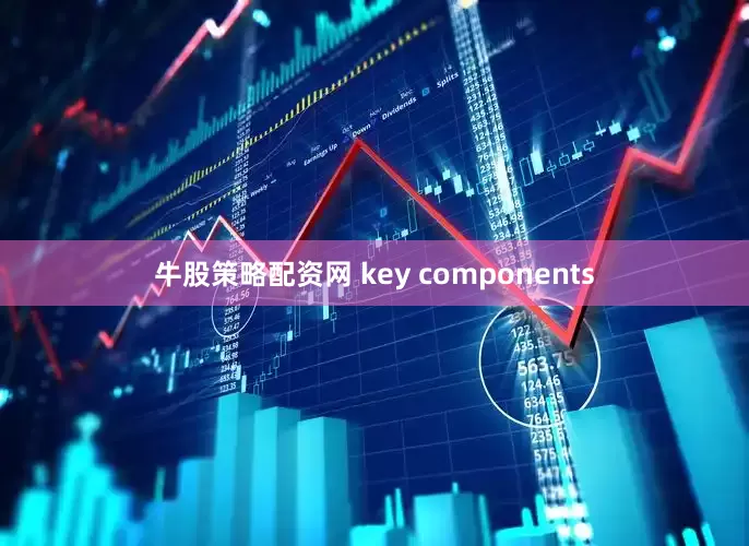 牛股策略配资网 key components