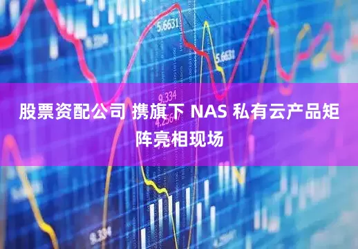 股票资配公司 携旗下 NAS 私有云产品矩阵亮相现场