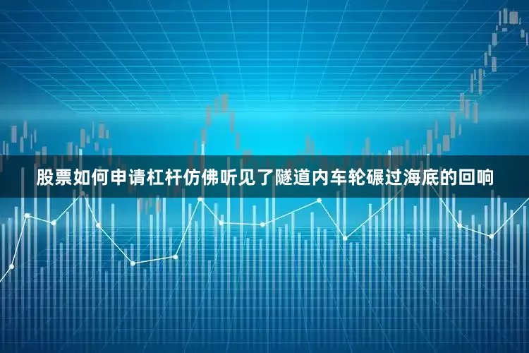 股票如何申请杠杆仿佛听见了隧道内车轮碾过海底的回响